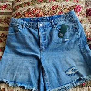 🌻NWT-Distressed Jean shorts
